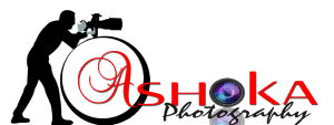 Ashok Studio